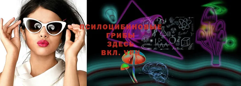 купить наркоту  MEGA ССЫЛКА  Псилоцибиновые грибы MAGIC MUSHROOMS  Сертолово 